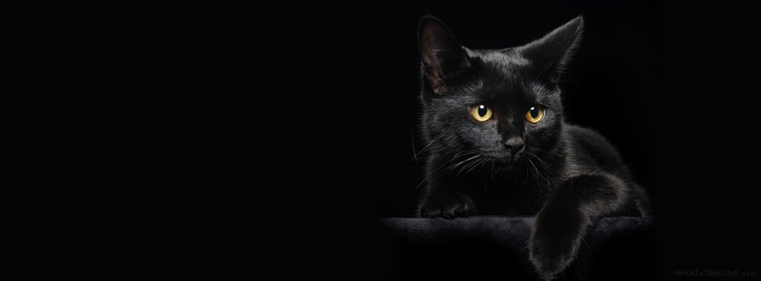 black-cat-facebook-cover.jpg (852×315)
